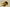 Zoom Kobe 5 Bruce Lee Del Sol/Black-Metallic Silver-Comet
