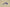 Zoom Kobe 5 Protro 5 Rings Concord/Midwest Gold
