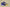 Zoom Kobe 5 Protro 5 Rings Concord/Midwest Gold