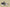 Zoom Kobe 5 Protro Chaos Purple/Cyber-White-Black