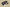 Zoom Kobe 5 Protro Chaos Purple/Cyber-White-Black