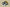 Zoom Kobe 5 Protro EYBL Forest Green/Metallic Red Bronze/Speed Yellow