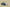 Zoom Kobe 5 Protro EYBL Forest Green/Metallic Red Bronze/Speed Yellow