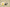 Zoom Kobe 5 Protro EYBL Forest Green/Metallic Red Bronze/Speed Yellow