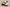 Zoom Kobe 5 Protro Kay Yow Silver White/Metallic