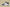 Zoom Kobe 5 TB White/Black/Metallic Silver