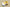 Zoom Kobe 5 V White/Black/Yellow