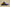 Zoom Kobe 5 x Black/Del Sol-Varsity Purple
