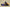 Zoom Kobe 5 x Lakers Black/Del Sol-Varsity Purple