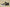 Zoom Kobe 6 Black/Dark Grey/White/Del Sol