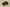 Zoom Kobe 6 Black/Dark Grey/White/Del Sol