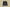 Zoom Kobe 6 Black/Dark Grey/White/Del Sol