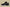 Zoom Kobe 6 Black Del Sol Mamba Black/Metallic Gold