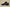 Zoom Kobe 6 Black Del Sol Mamba Black/Metallic Gold