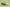 Zoom Kobe 6 Grinch Lime Green/Varsity Red-Black