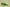 Zoom Kobe 6 Grinch Lime Green/Varsity Red-Black