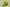 Zoom Kobe 6 Grinch Lime Green/Varsity Red-Black