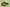 Zoom Kobe 6 Grinch Lime Green/Varsity Red-Black