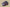 Zoom Kobe 6 Protro 3D Hollywood Dark Grey/Daring Red/Chlorine Blue