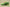 Zoom Kobe 6 Protro Grinch Green Apple/Volt/Crimson/Black