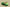 Zoom Kobe 6 Protro Grinch Green Apple/Volt/Crimson/Black
