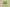 Zoom Kobe 6 Protro Grinch Green Apple/Volt/Crimson/Black
