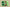 Zoom Kobe 6 Protro Grinch Green Apple/Volt/Crimson/Black