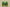 Zoom Kobe 6 Protro Grinch Green Apple/Volt/Crimson/Black