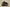 Zoom Kobe 6 Protro Mambacita Sweet Sixteen Black/White