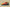 Zoom Kobe 6 Protro Orange County Orange Peel/Black-Cannon
