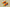 Zoom Kobe 6 Protro Orange County Orange Peel/Black-Cannon