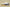 Zoom Kobe 6 Protro White/Neutral Grey/Del Sol/Black