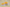 Zoom Kobe 6 TB Yellow/White/Silver