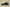 Zoom Kobe 7 Fade to Black Blue Fox/Blue Fox