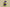 Zoom Kobe 7 Supreme Christmas Violet Pop/Volt-Ink-Action Red