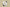 Zoom Kobe 7 System Elite Home White/Metallic Gold-Black-Natural Grey