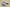 Zoom Kobe VI PE White/White/Black