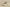 Kyrie 5 Spongebob Pineapple House Green/Blue/Orange